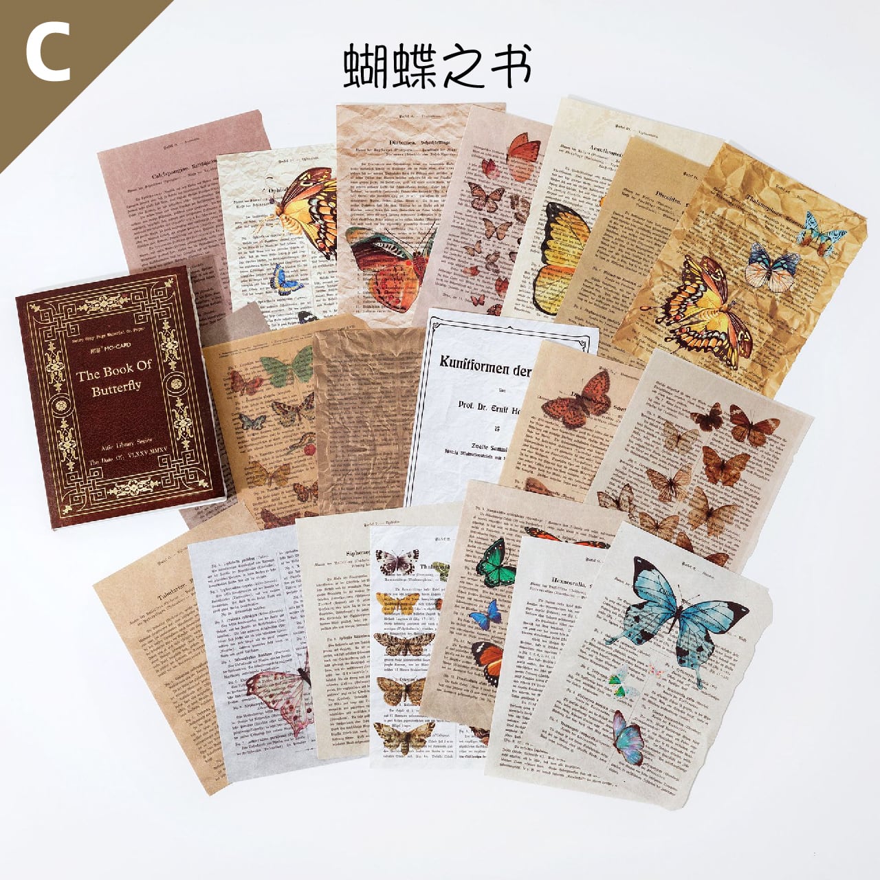 文庫本 レトロ 素材紙 紙もの 紙活 古書 全8種 60枚 単行本 レトロ調 ヴィンテージ風 オールド 作家 ベーキング 蝶 図鑑 ノート 数学 数字 ドライフラワー 花 痕跡 記憶 日記 コーヒー 珈琲 楽譜 音符 ほぼ日 ジャンクジャーナル 焼けた痕跡 歌詞