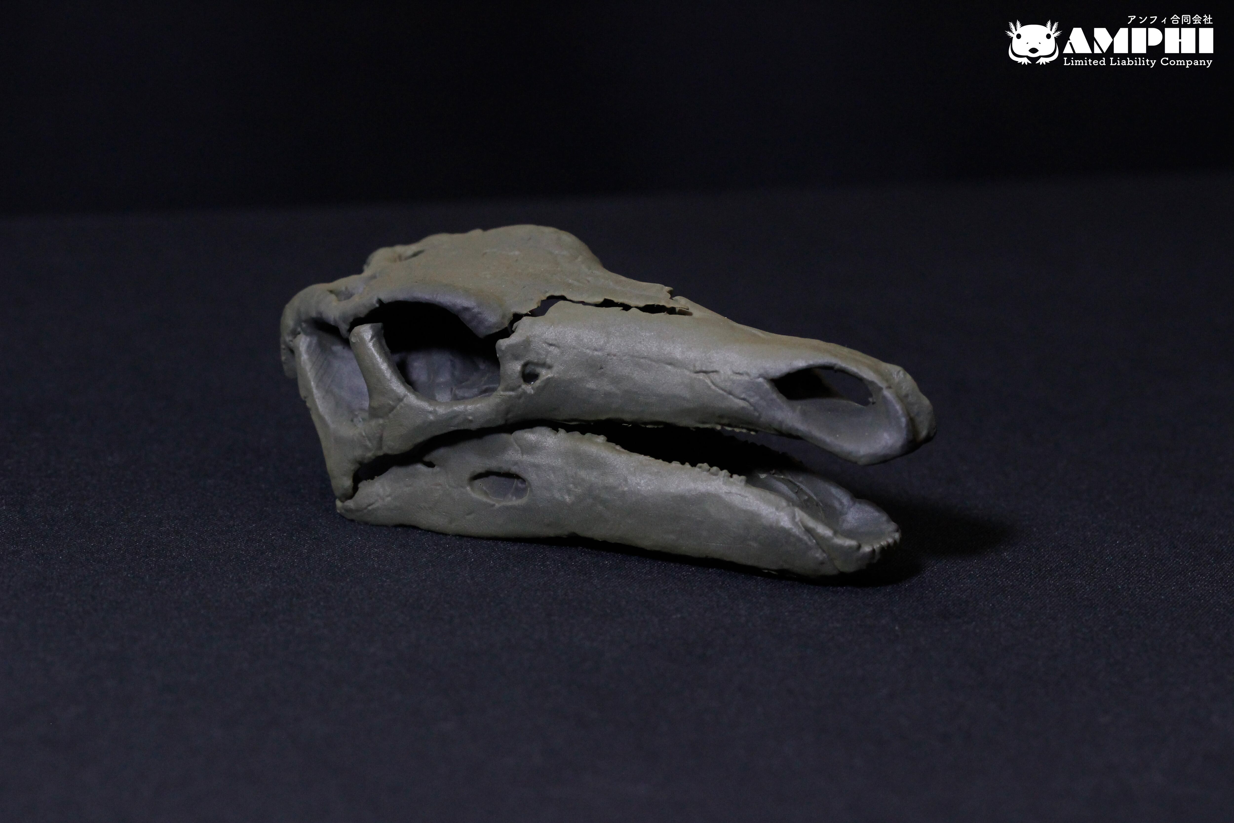 ステゴサウルス 縮小 頭骨レプリカ Stegosaurus, miniaturized skull