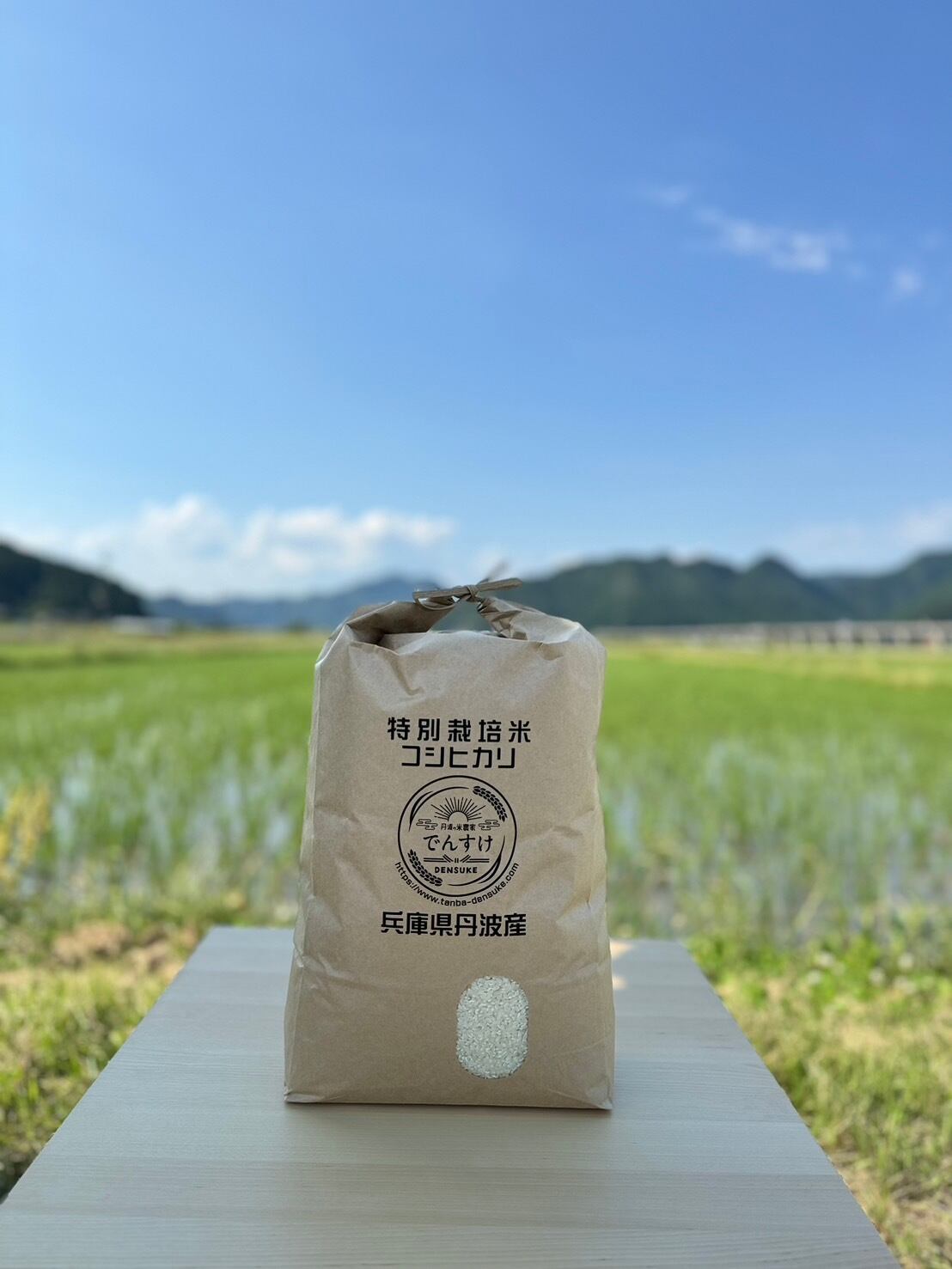 丹波市産コシヒカリ 特別栽培米 10kg(精米)×3袋 送料無料 丹波市産コシヒカリ 特別栽培米 10kg(精米)×3袋 送料無料