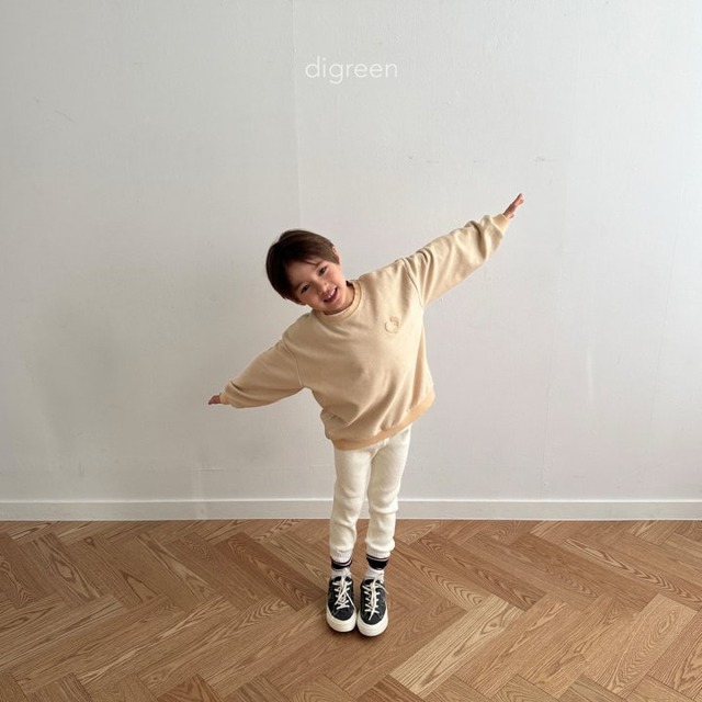 digreen25wn_Paris Socks