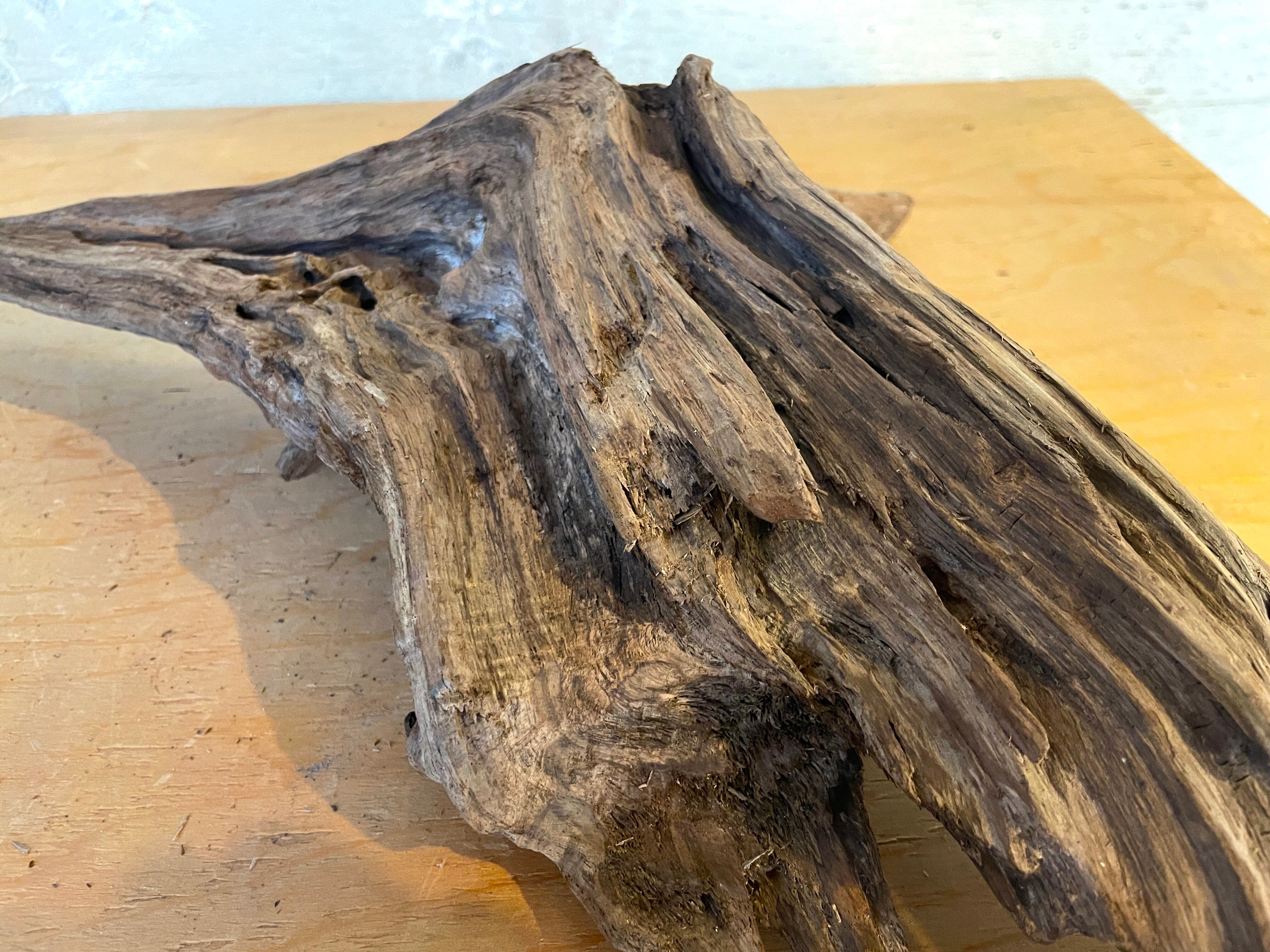 流木販売専門店 山の流木