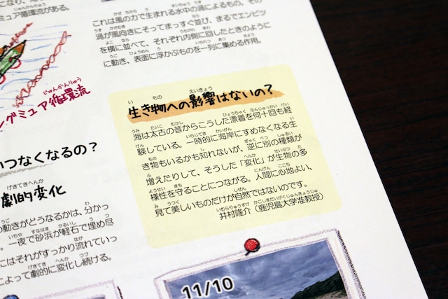 図鑑◆軽石のふしぎ◆子どもから大人まで楽しめる、軽石の不思議と面白さを知る図鑑