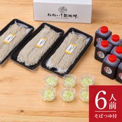 おおいし二八そば｜温そば用・6人前【ストレートつゆ・白ねぎ付き】