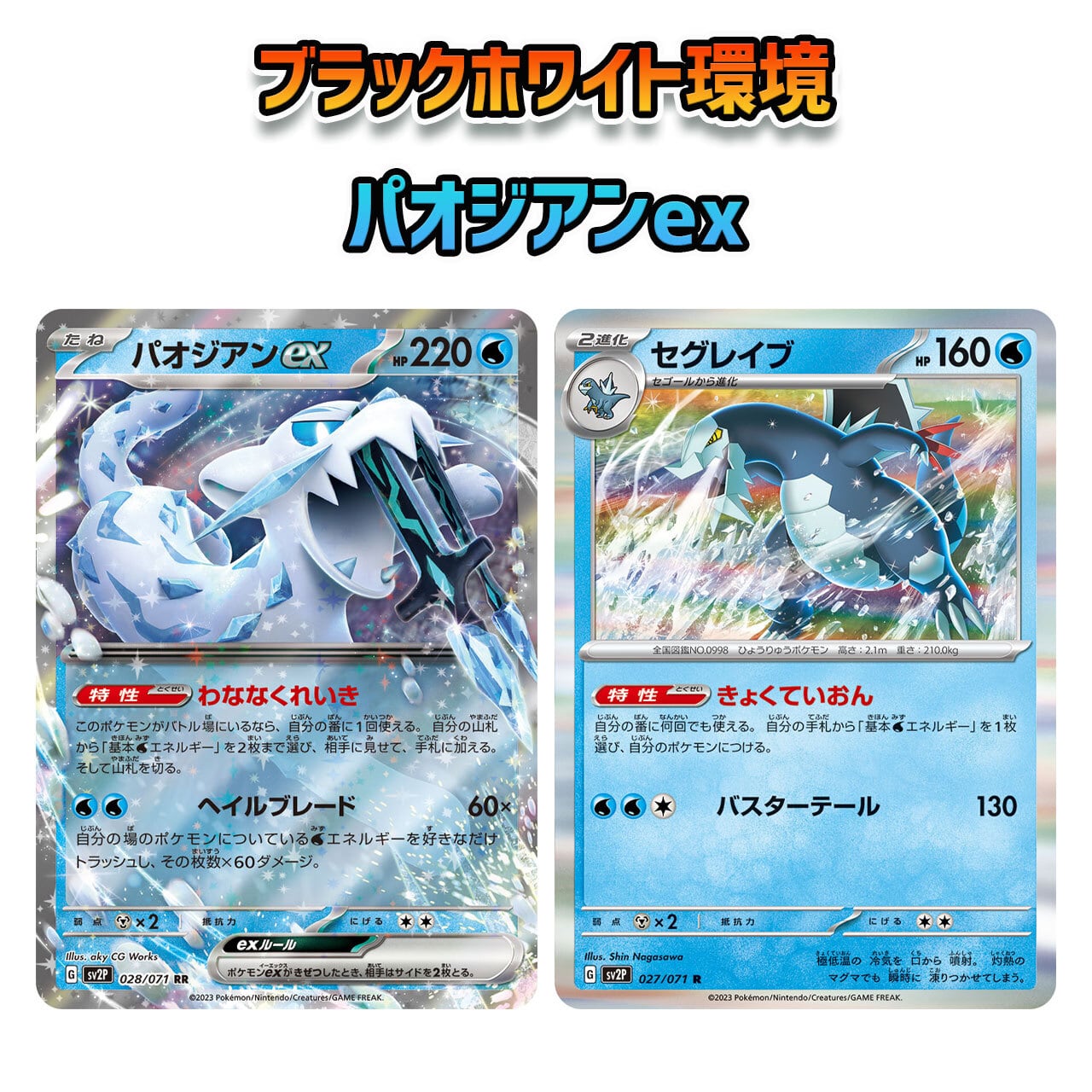 CL愛知2025優勝構築 ドラパルトex/リザードンex 構築済みデッキ