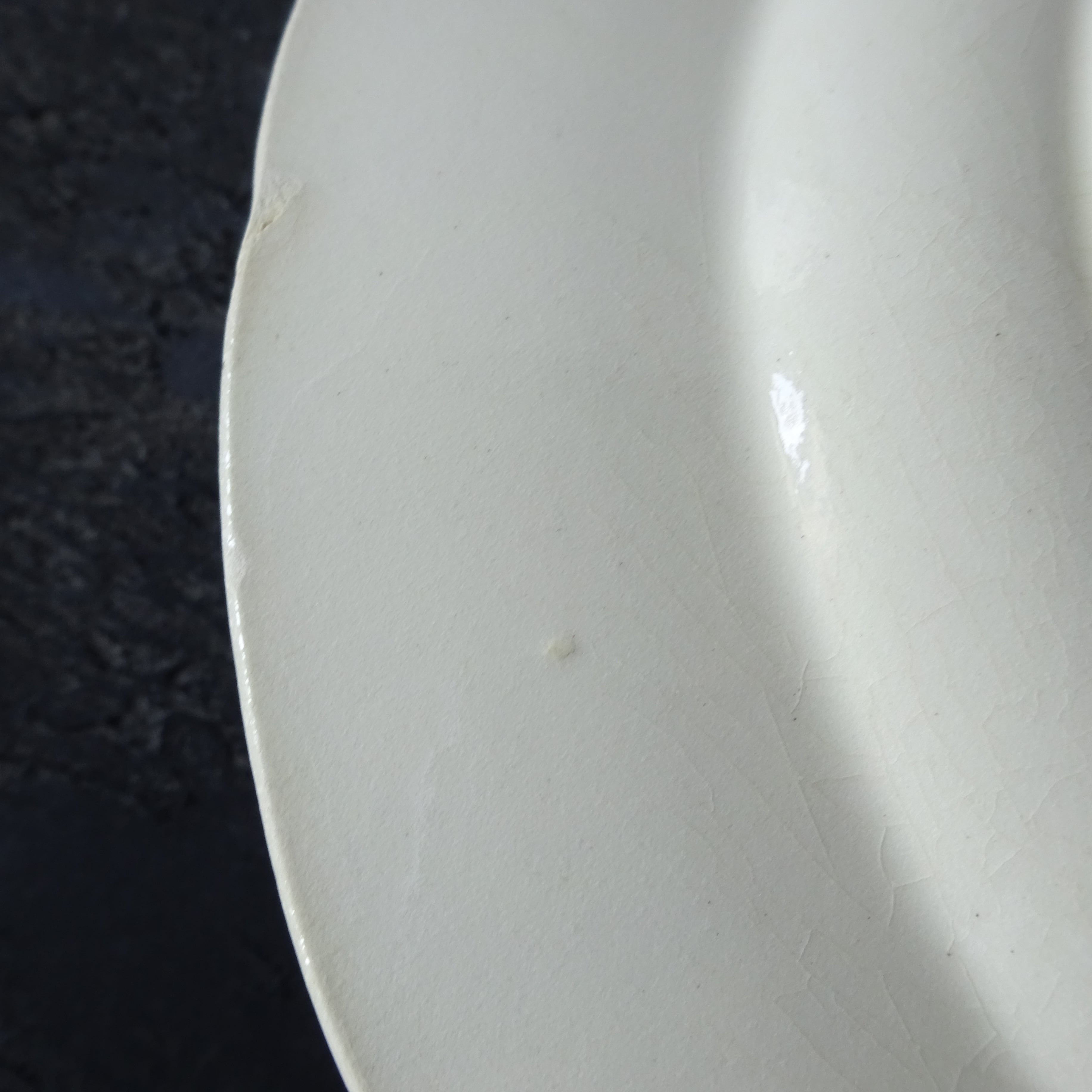 TERRE de FER PORCELAINE OPAQUE DE GIEN modèle 《RINCEAUX》 assiette plate (B)