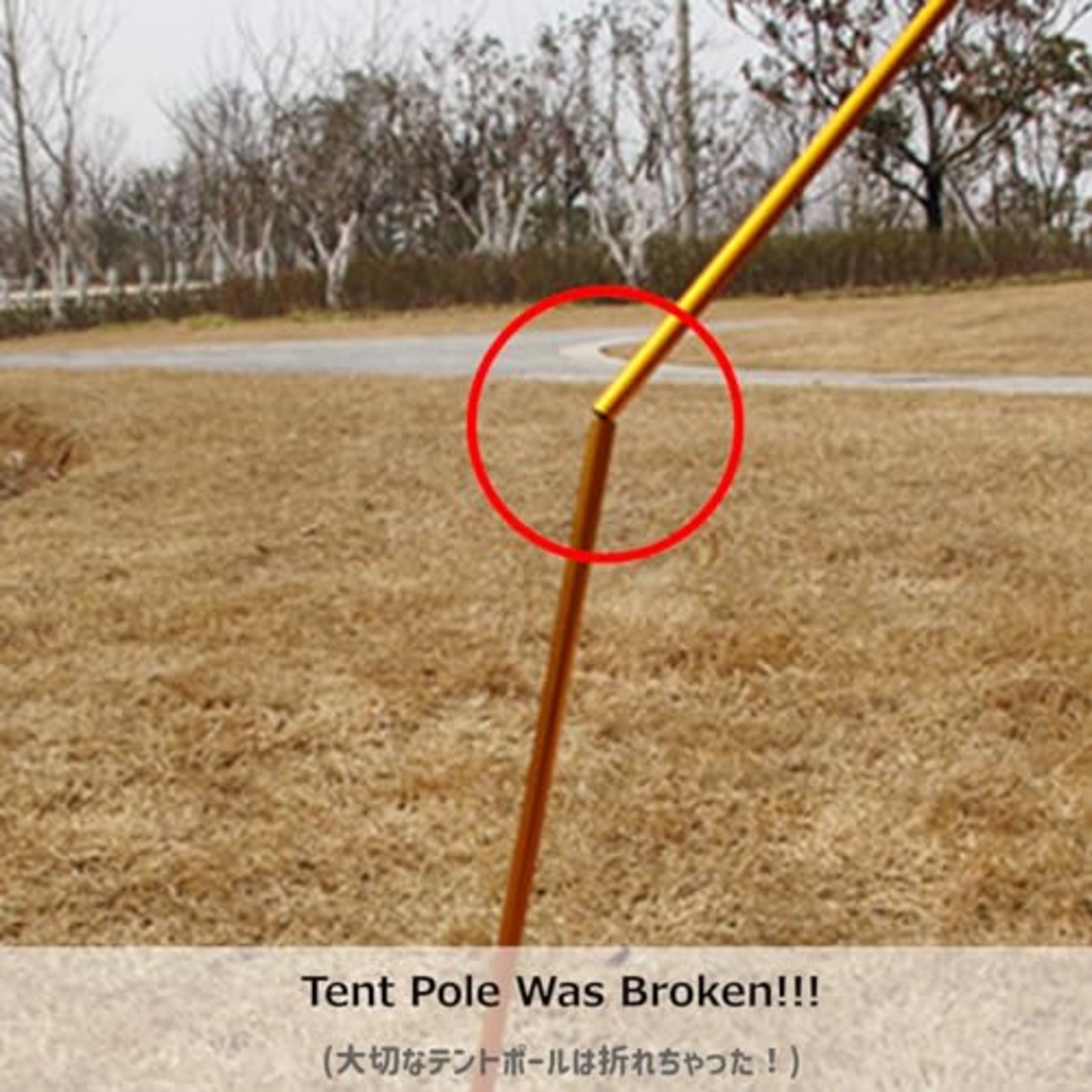 Azarxis テントポール 修理 アルミポール 応急 管端栓 折れたポールの補修 リペア 応急修理グッズ テントアクセサリー 適用ポール径8.6mm ‐ 9.5mm (レッド - 4本入り)