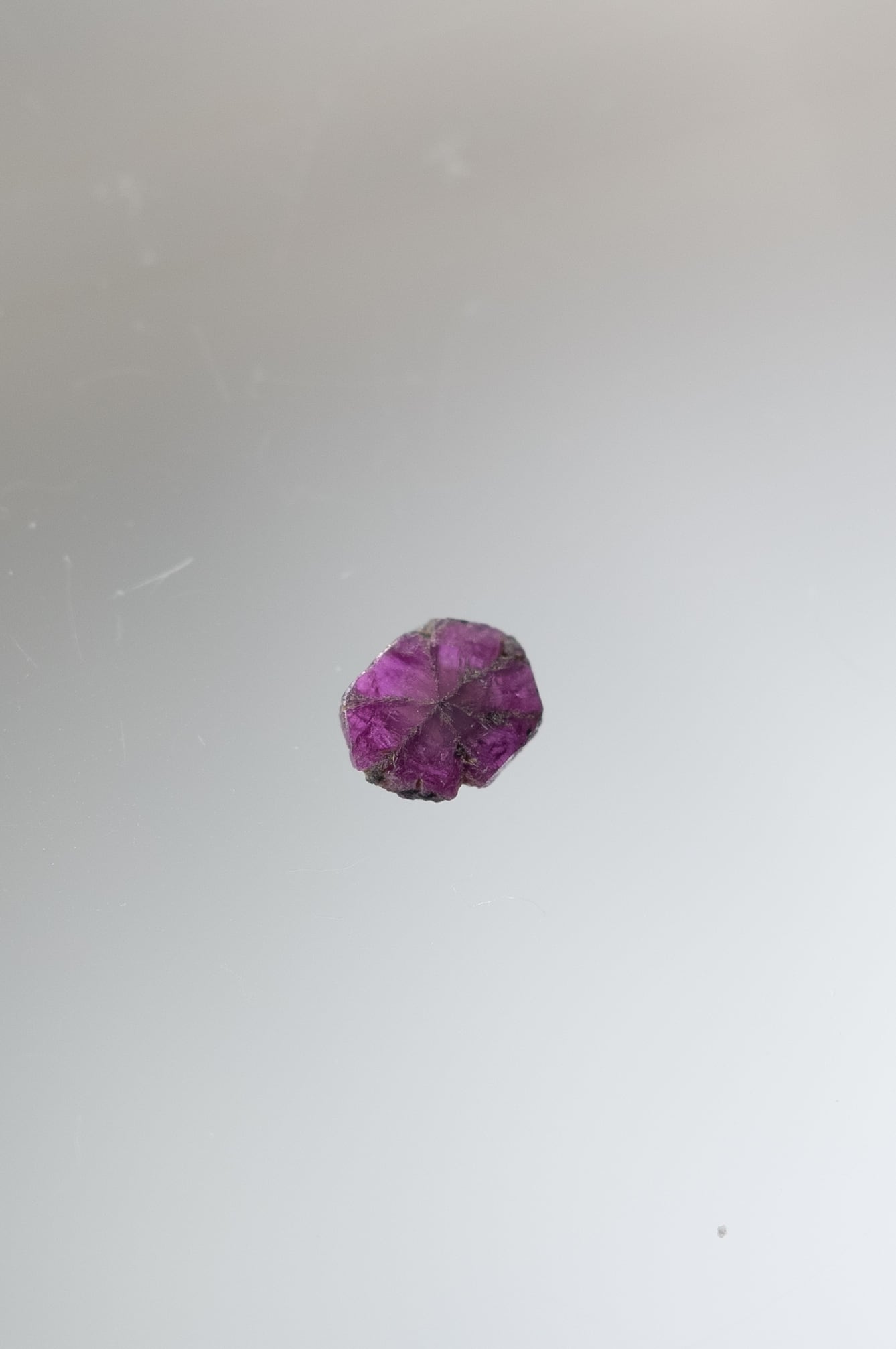 Ruby | SELSHA Ruby | SELSHA
