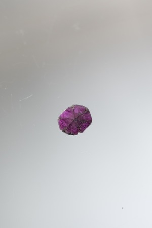 Trapiche Ruby -021