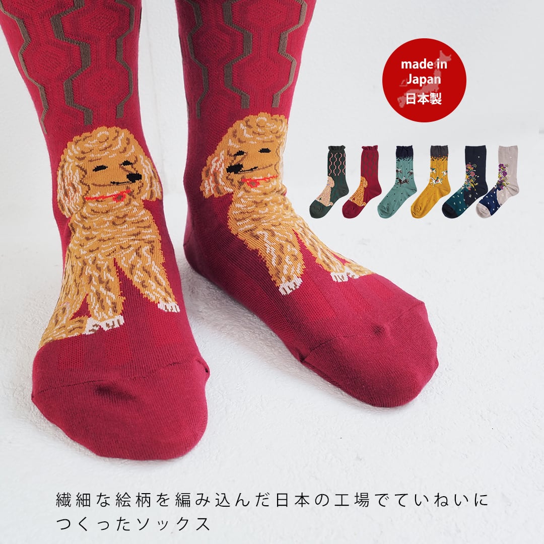 ハイゲージ クルー丈 ソックス 2025AW 1179 andeotte アンデオッテ