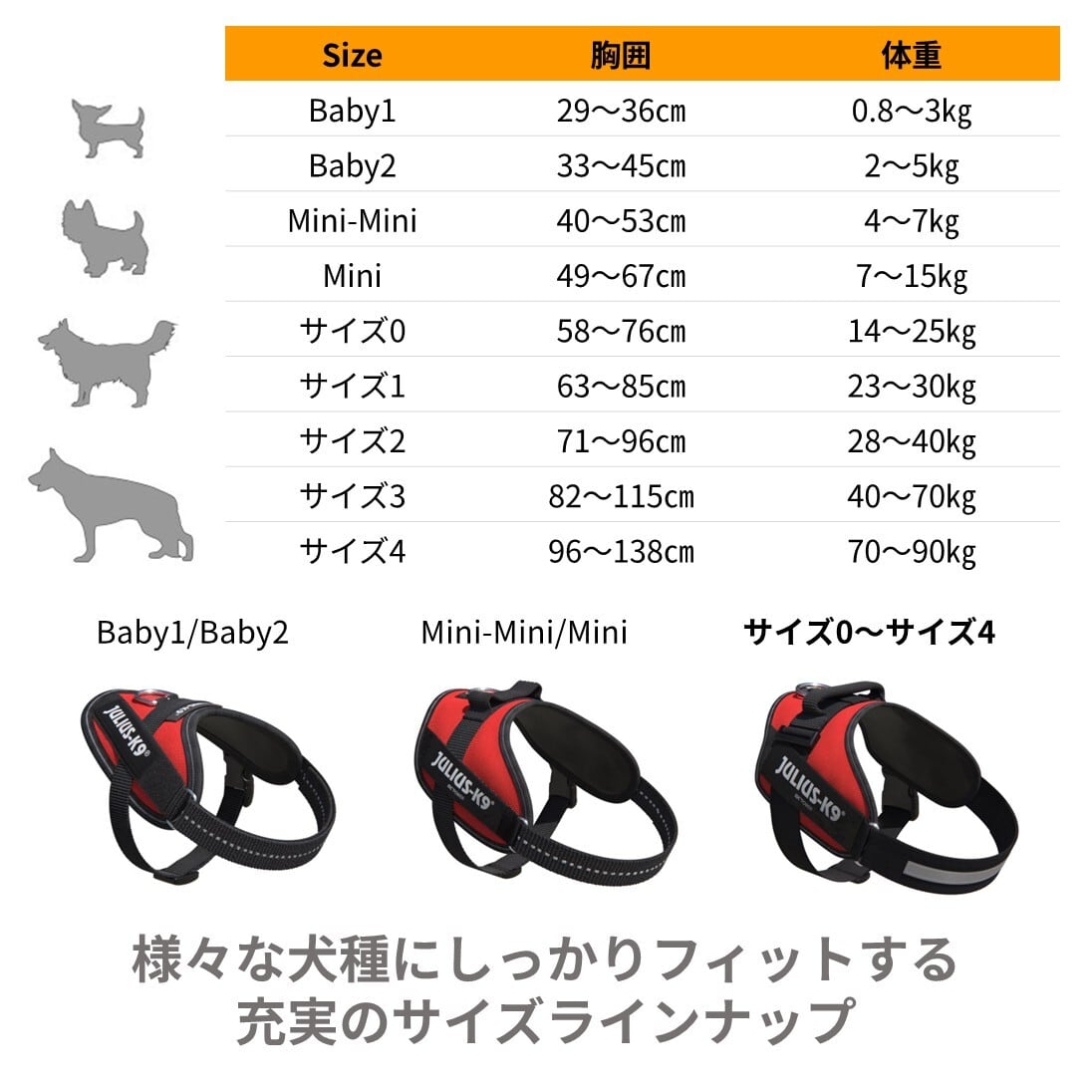 日本総代理店直営店】【Julius-K9】ユリウスケーナイン・IDCパワー
