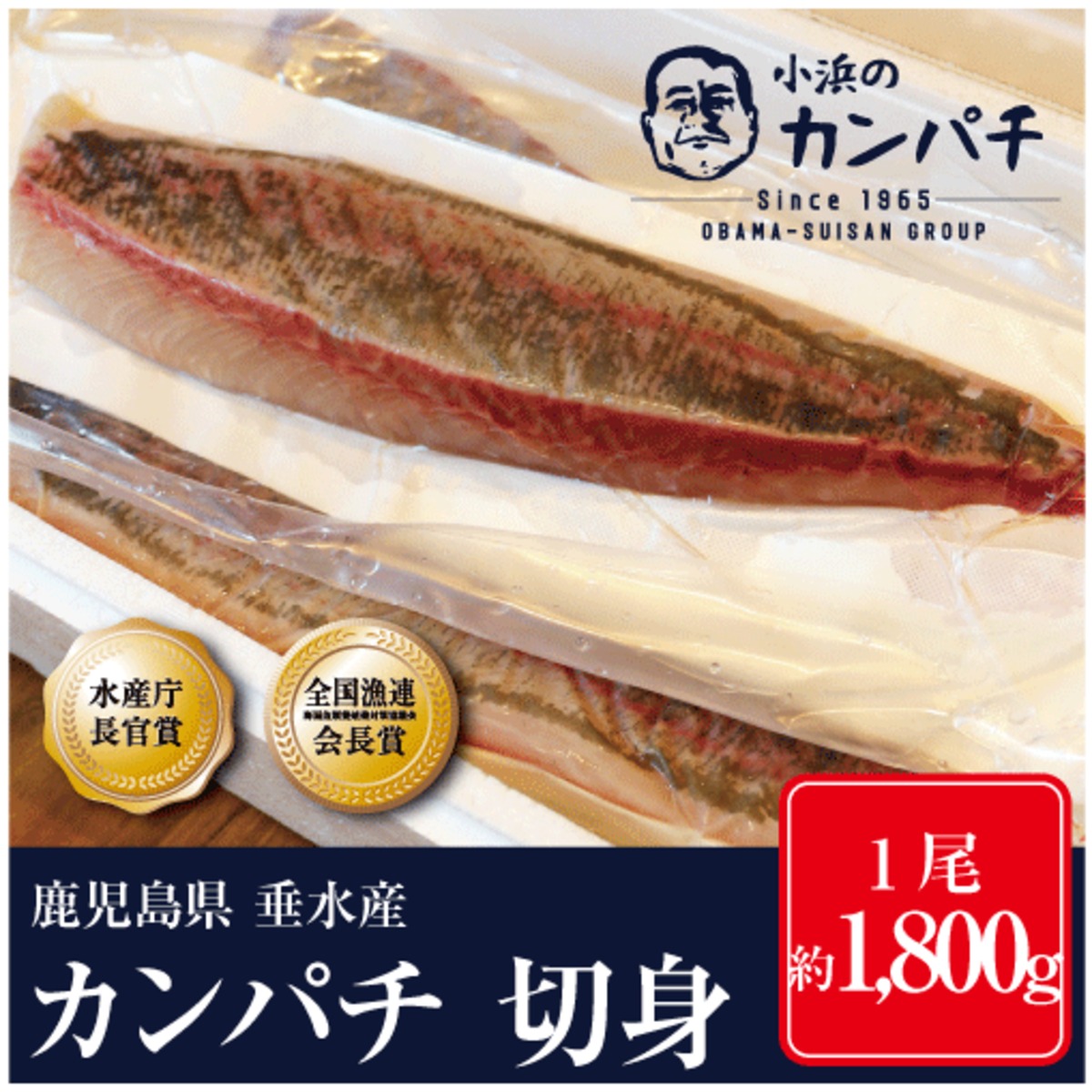 鹿児島県産 極上カンパチ 刺身 冷蔵 約1 8ｋg 真空パック加工 小浜のカンパチ