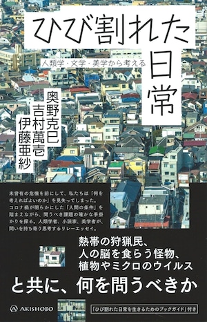 ひび割れた日常 人類学・文学・美学から考える