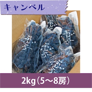 【ぶどう】キャンベル 2kg（5〜8房）