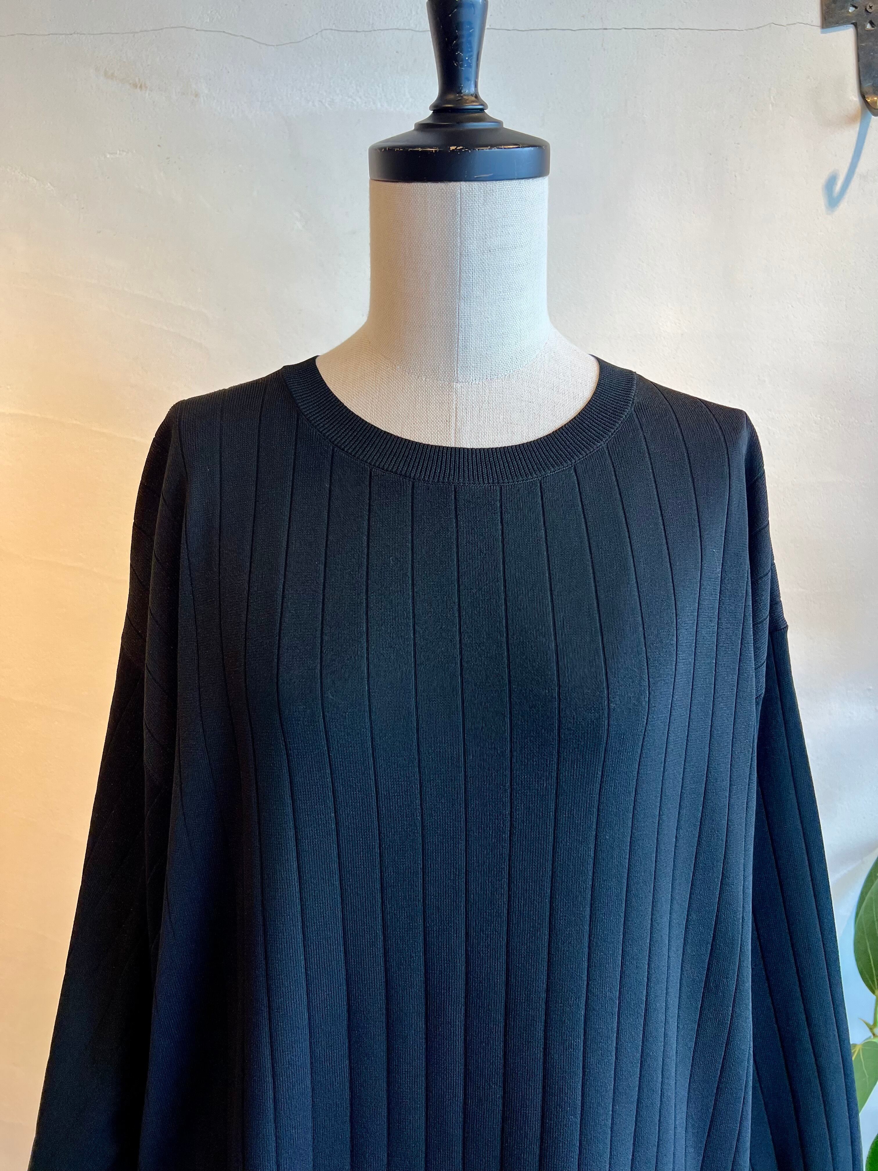 lelill / ハイテクワイドリブワンピース | anouk