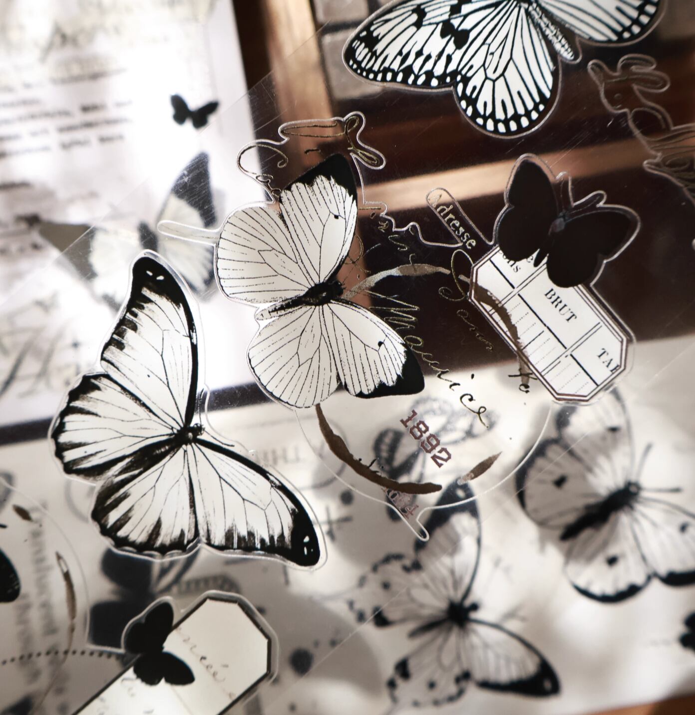 7032】海外マステ巻売り貝殻光マスキングテープ