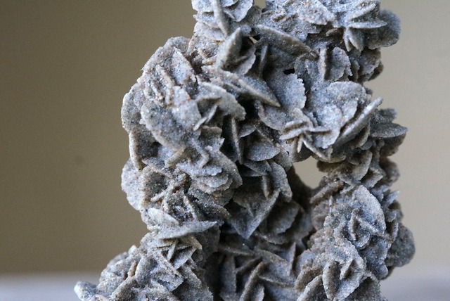 デザートローズ　Desert Rose　(B)