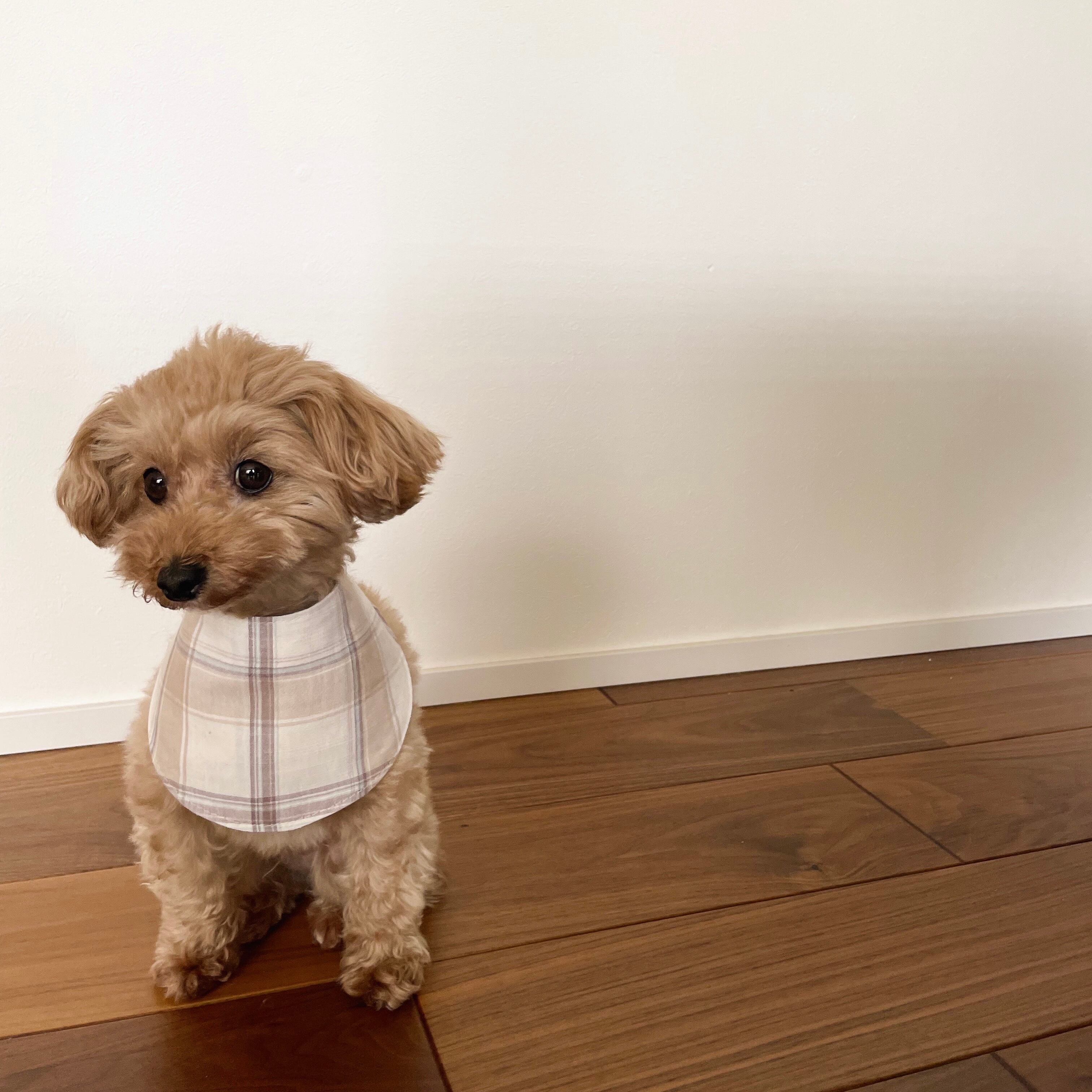 お作りします！ 犬用 クールバンダナ ハンドメイド 2024 お作りします