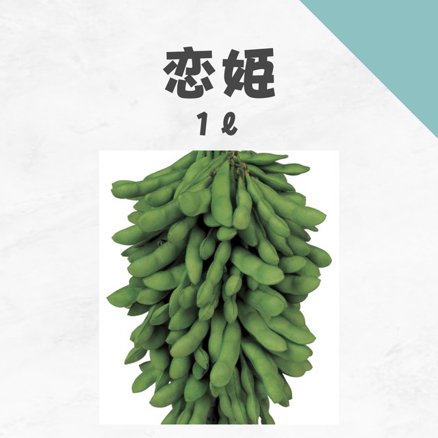 恋姫　エダマメ種子・1L