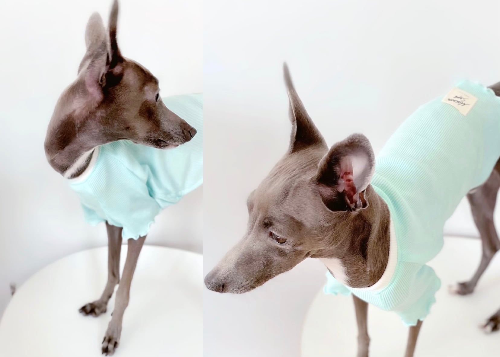 犬服ハンドメイド 夢夢さん様専用 【公式通販】
