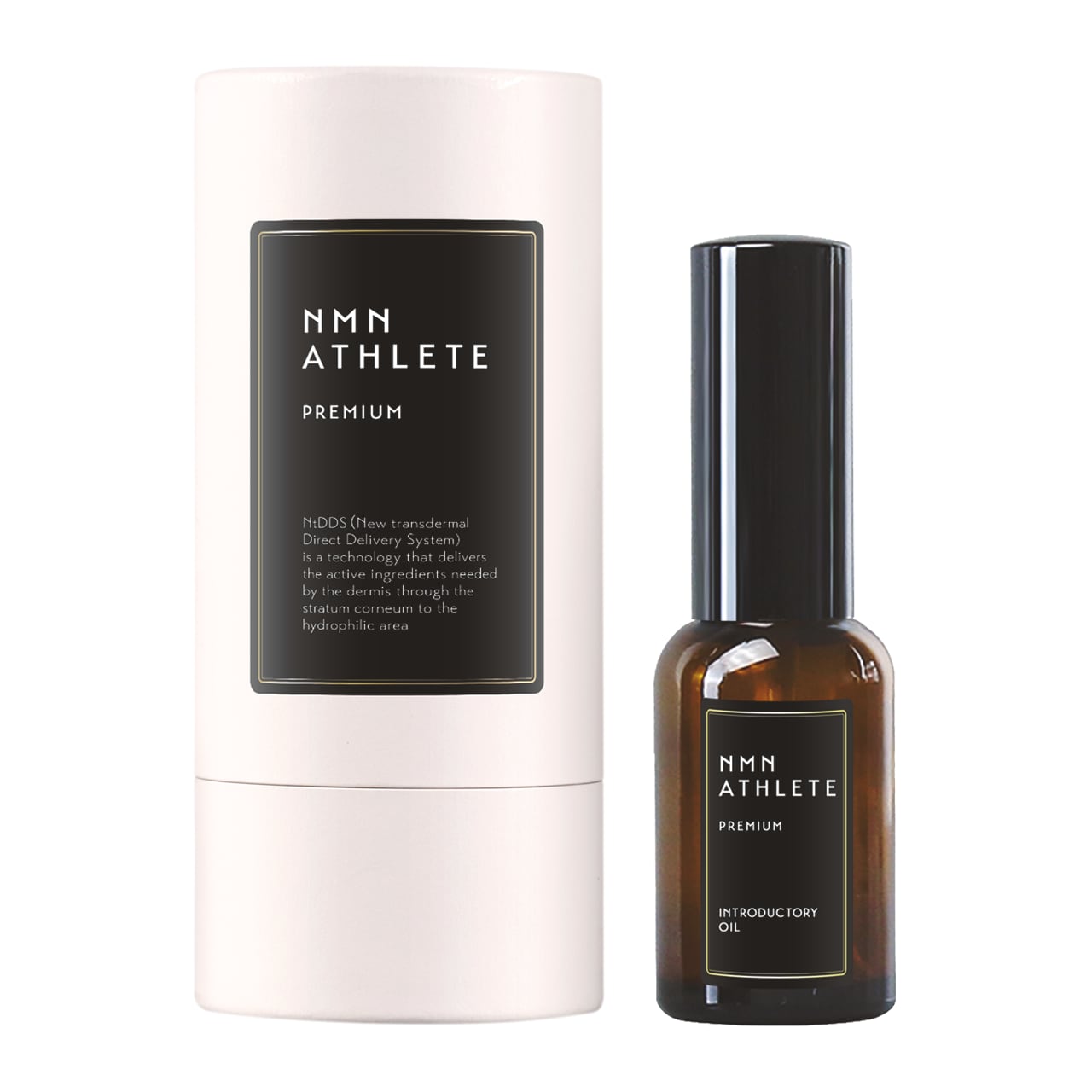 INTRODUCTORY OIL