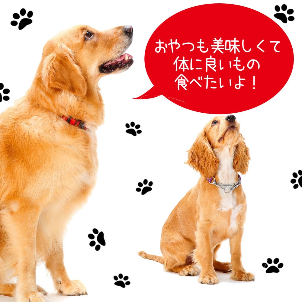 DogFoodle) ドッグフードル 犬食 選べる 5個 お試し 小分け セット
