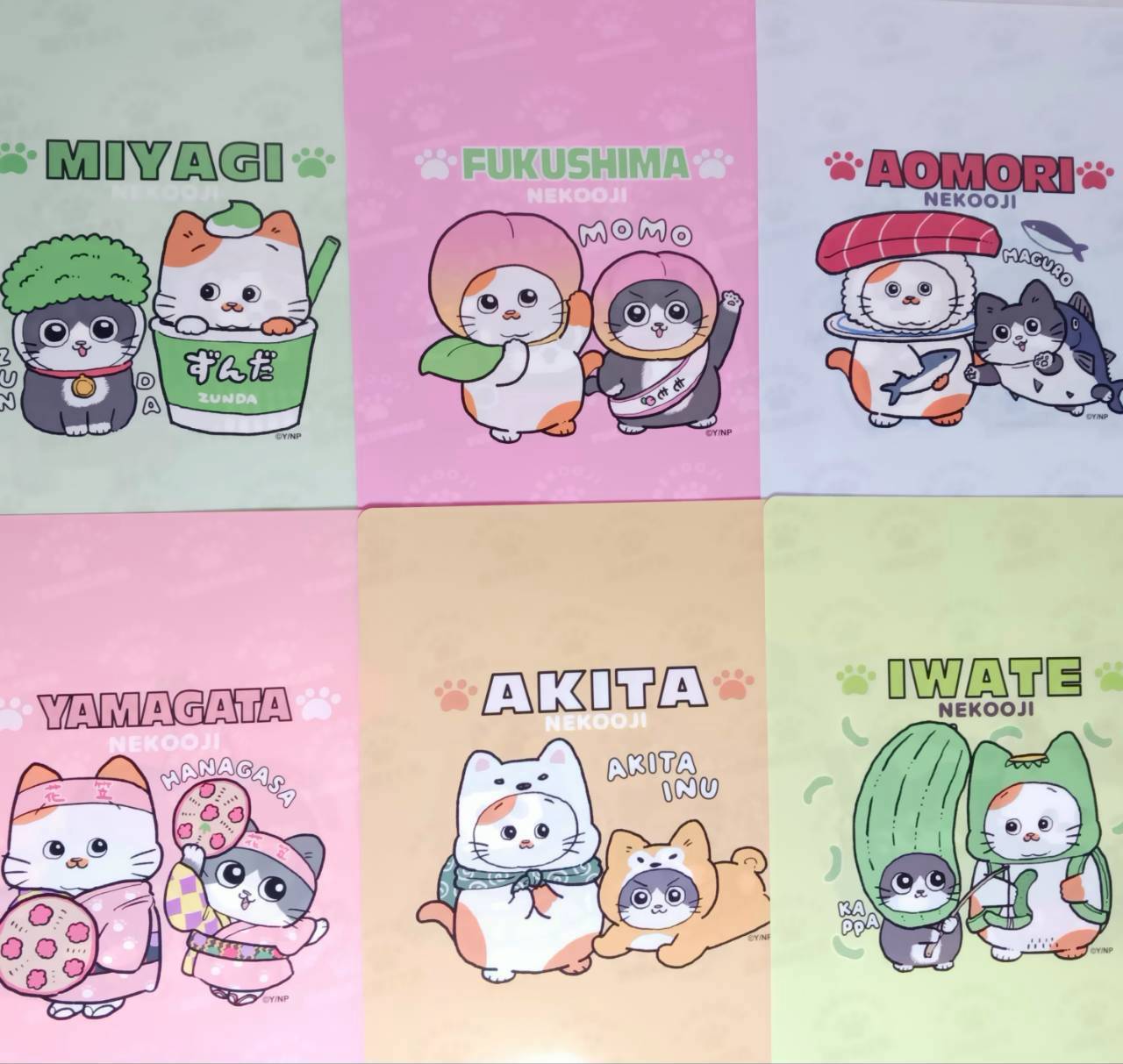 ねこに転生したおじさん秋田 クリアファイル | TORCH-Online Shop-