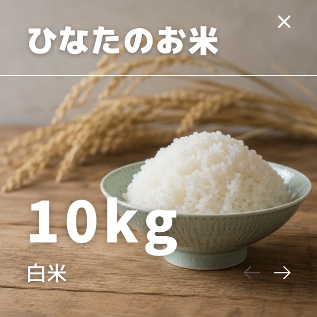 R8年産　ひなたのお米 白米 10kg