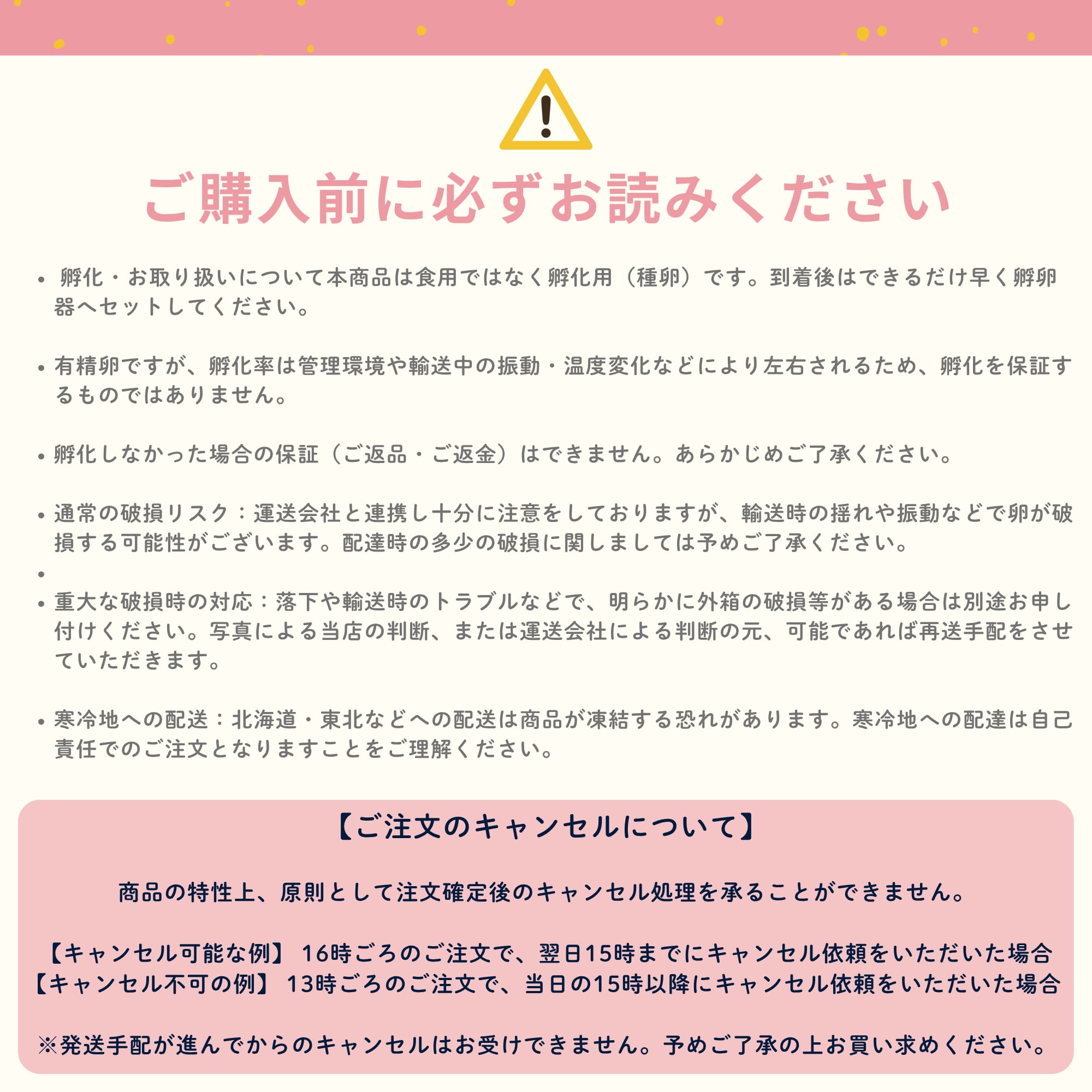 【有精卵】孵化用 豊橋産 日本うずらの卵 10個入り 2パック