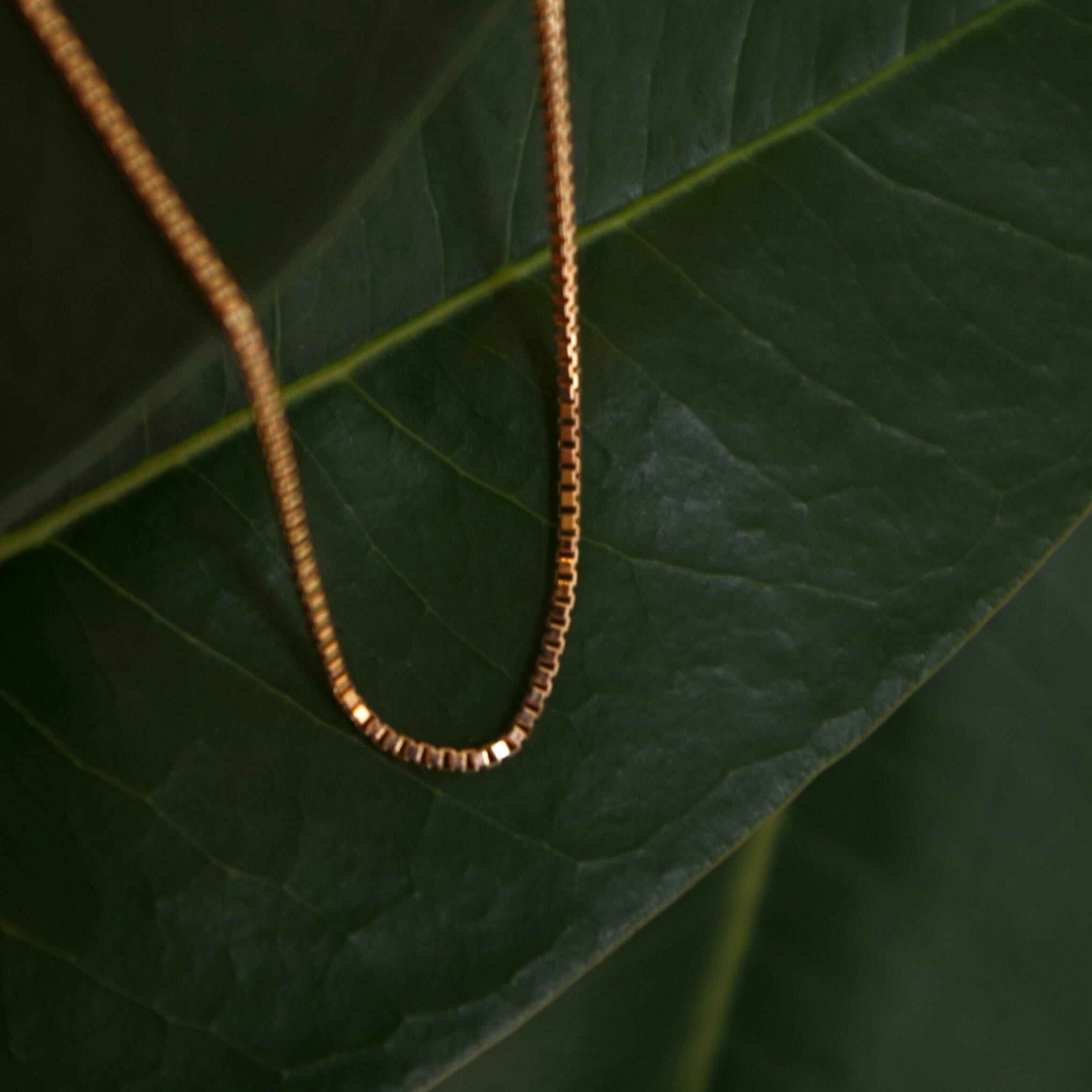 アクセサリー ERA. TWNKL NECKLESS 10K / GOLD (SL014) SL014 / TWNKL NECKLESS 10K | ref. / Web Store