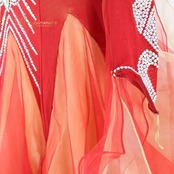 社交ダンス 衣装 スタンダードドレス ドレス スタンダード ワンピース ワイン フロート レース フリル デモ 競技 ダンス パーティ 発表会 forever フォーエバー レッド系 オレンジ系 高級感 上品 スカート4枚重ね シルエット 発表会用 おしゃれ モダン 社交用 フォーマル