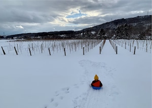 Due Punti Vineyards Chardonnay Aki 2025　白ワイン