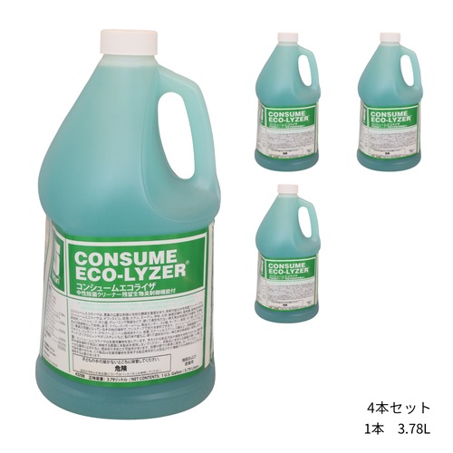 悪臭改善　除菌バイオ洗剤　エコライザー　（3.78L × 4本）ケース販売