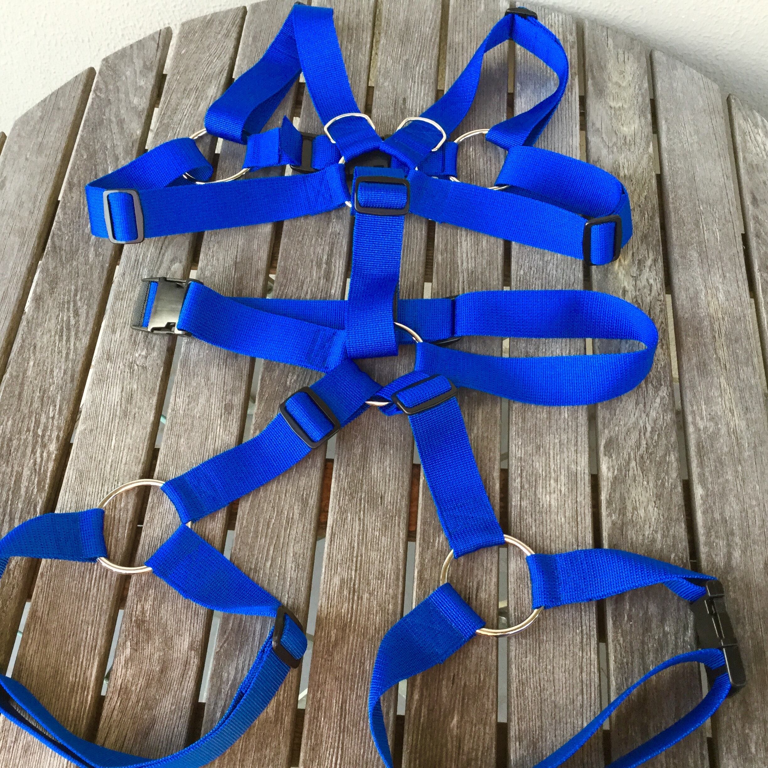フルハーネス 青 40mm幅