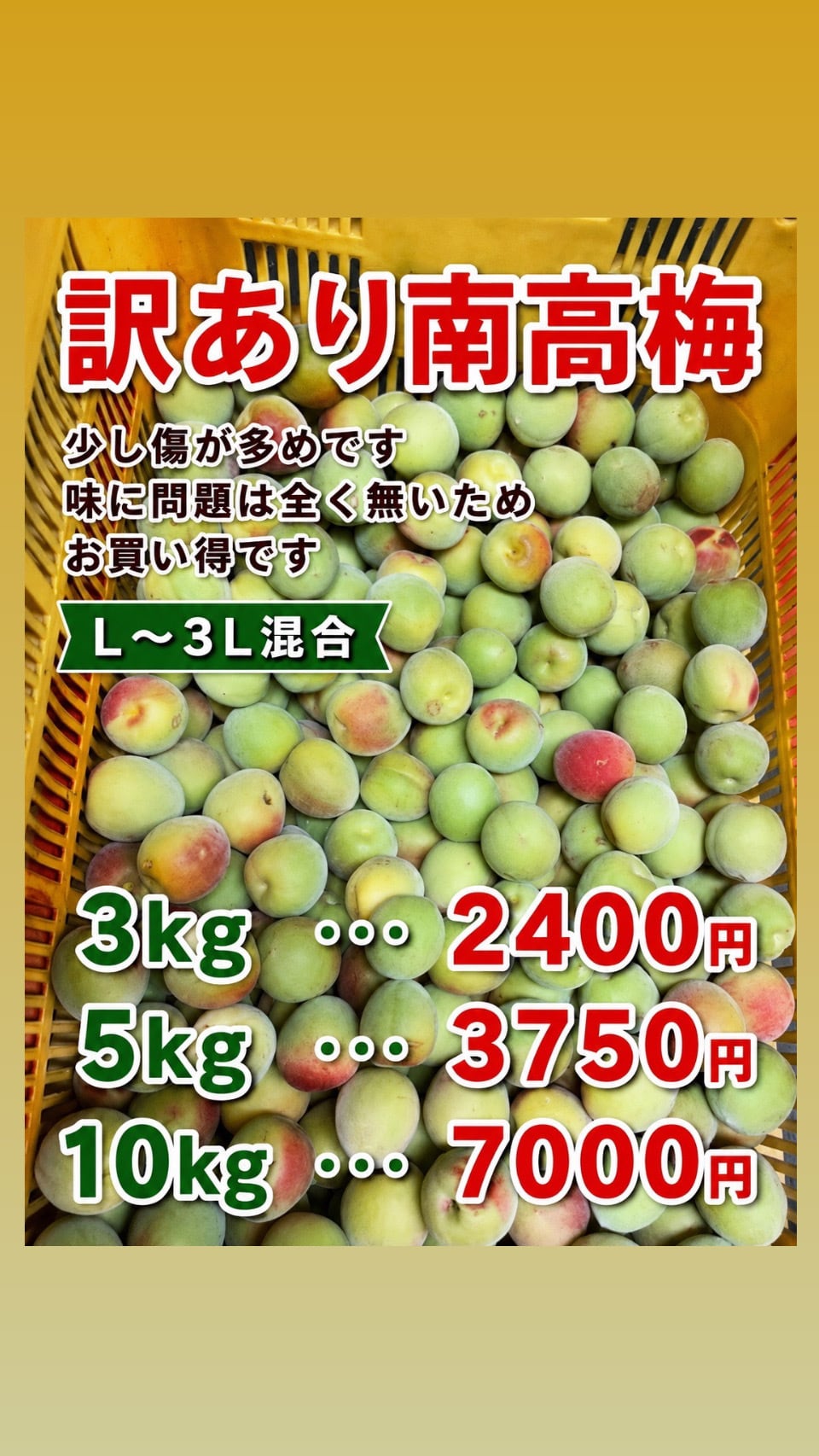 訳ありミネラル南高梅(落ち梅)10kg 南高梅 生梅 訳あり3kg | kazumama kitchenぷぅ