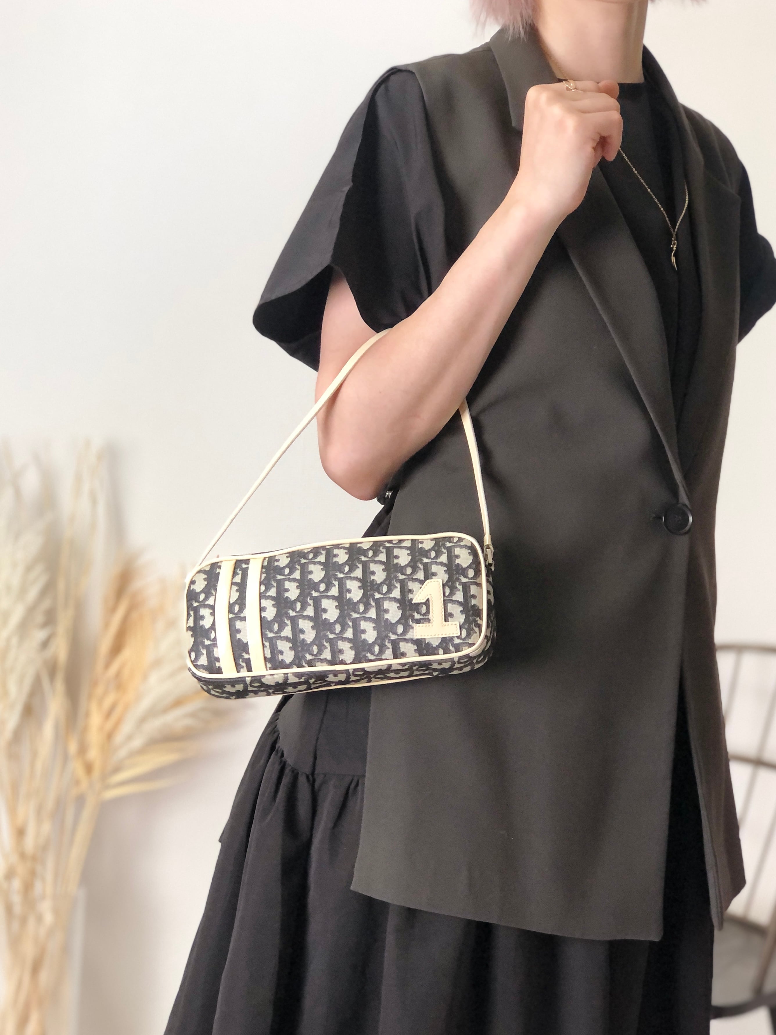 Christian Dior クリスチャン ディオール トロッター ハンドバッグ