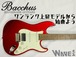 【Bacchus】BSH-850/RSM CAR