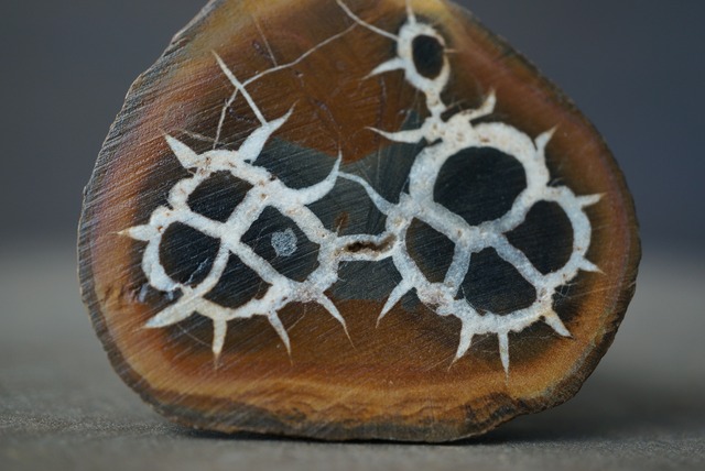 セプタリアン Septarian 1689