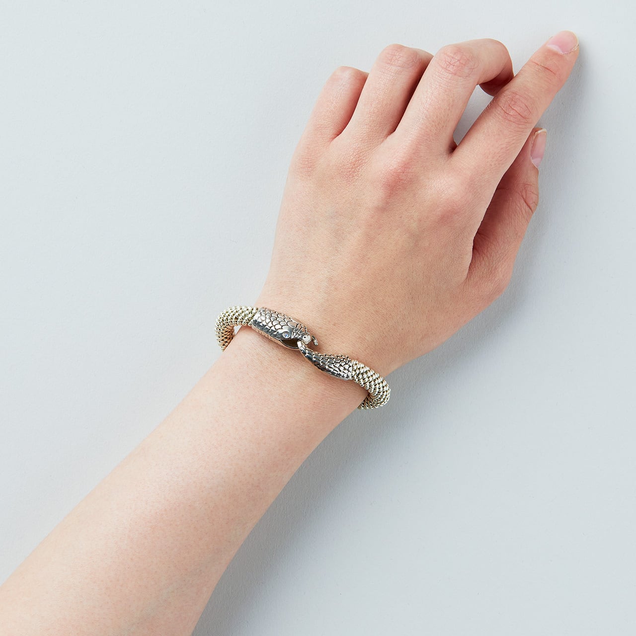 hebi グレーヘマタイト | PRIMA! 