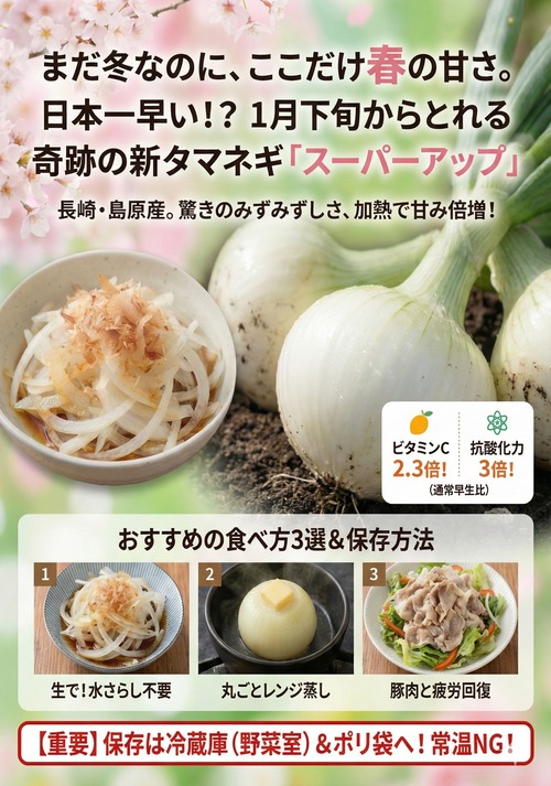 「春一番！ナマフル（生フルーツオニオン）3kg 画像