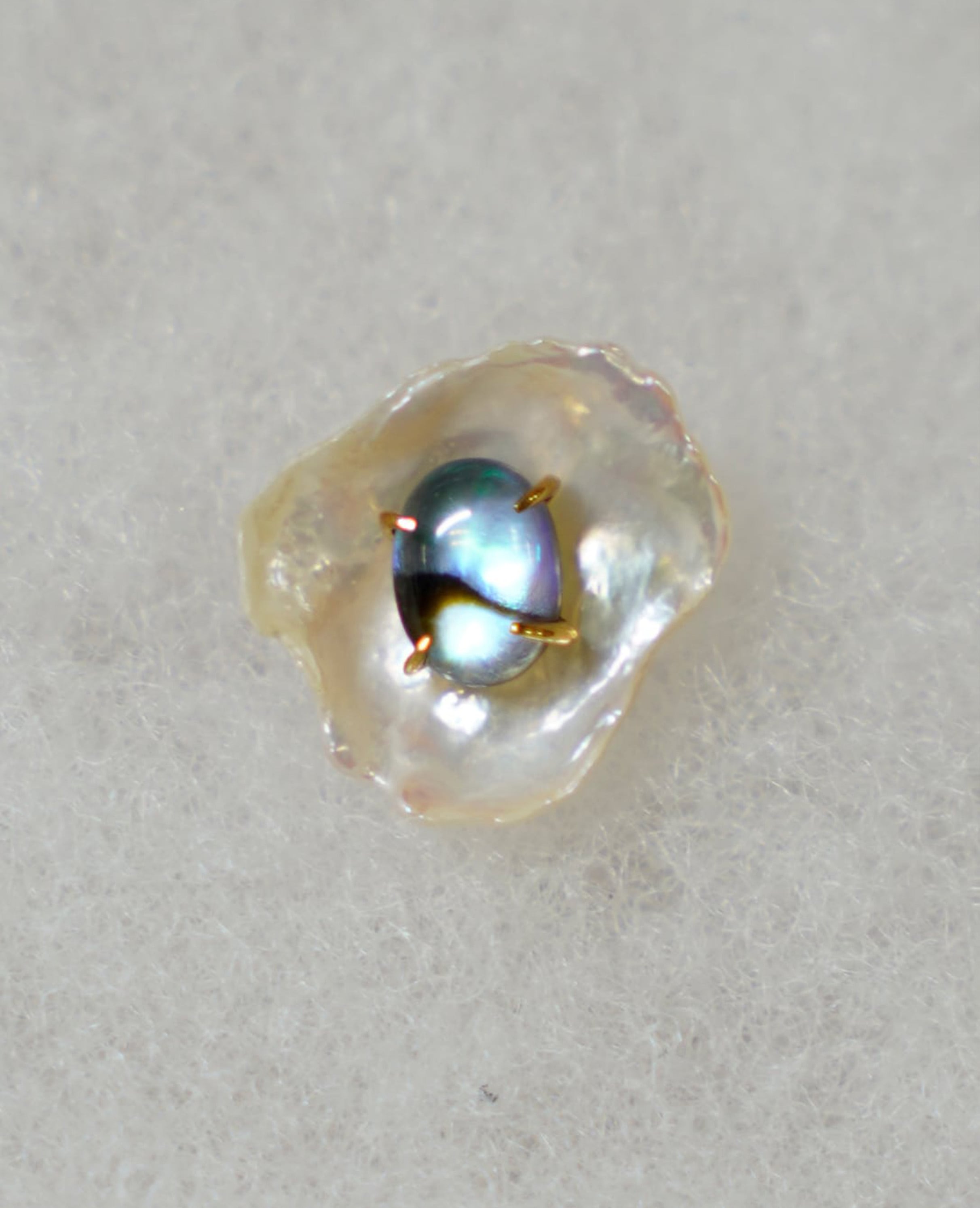 (SV)Thalatta pierced(Seashell Quartz)