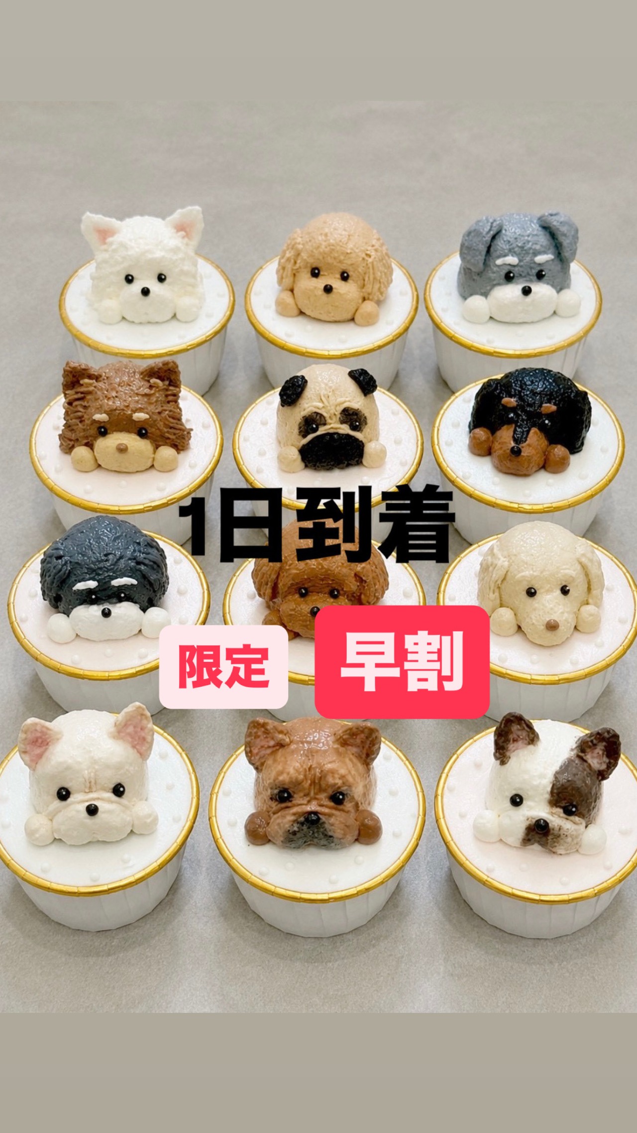 【早割特典 限定2時間！】10月1日お届け【冷凍発送】オーダーカップケーキ