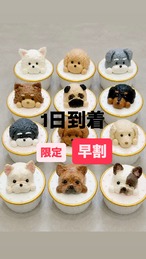 【早割特典 限定2時間！】10月1日お届け【冷凍発送】オーダーカップケーキ