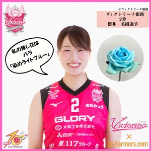 【ヴィクトリーナ姫路応援企画】推し花を贈って応援しよう　櫻井選手のラブフラワーは、バラ　染めライトブルー