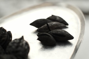 烏欖・烏オリーブ炭　潮州産 20g(約2時間×2回分)