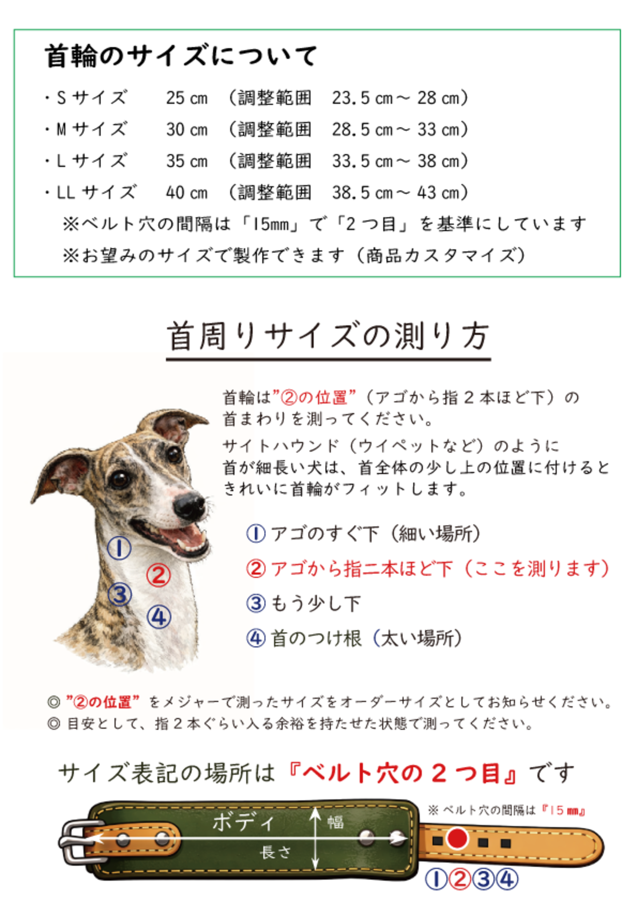 "スタンダード"　Green（S 25㎝） - 4