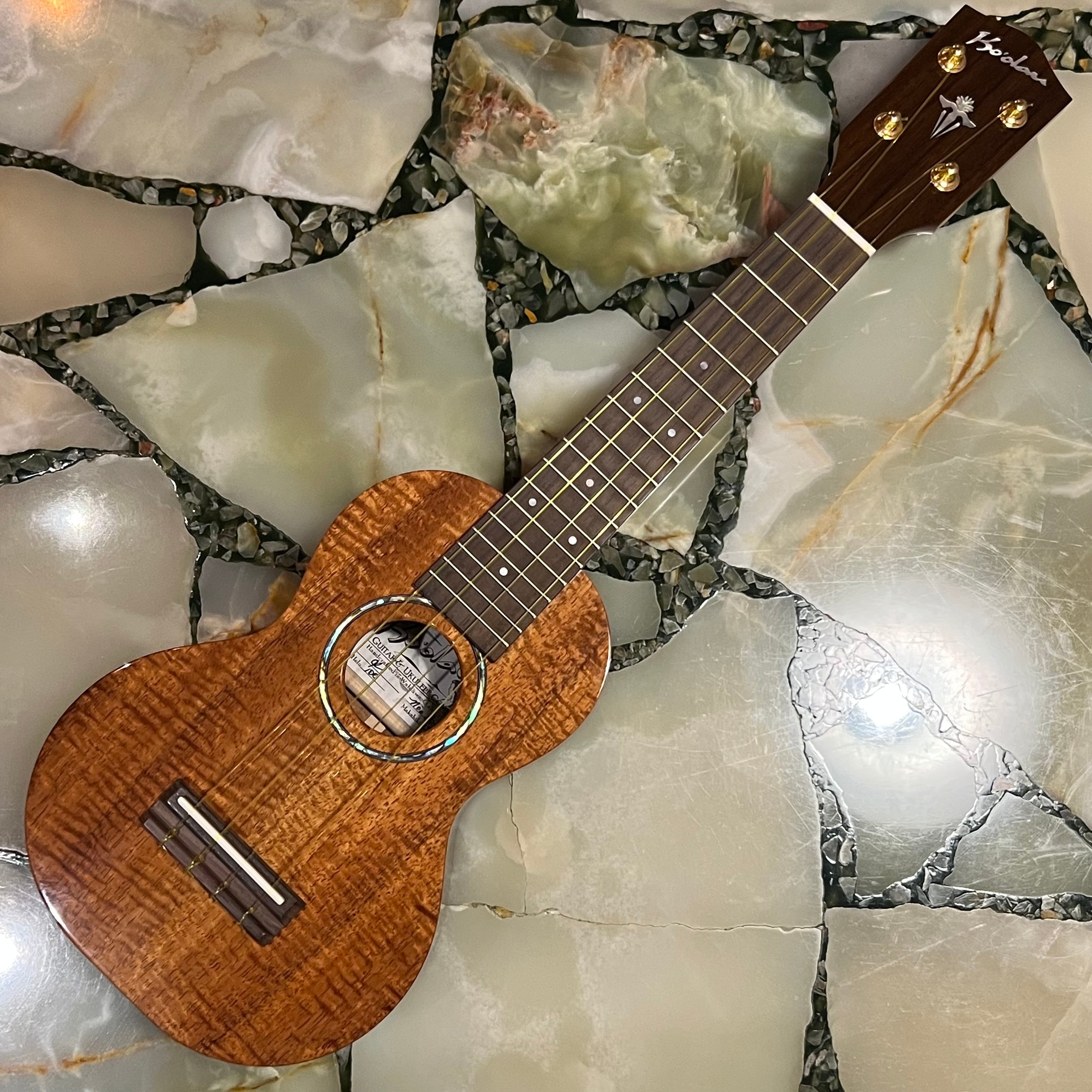 L.R.Baggs ウクレレ専用アンダーサドルピックアップ FIVE.O 当店取付
