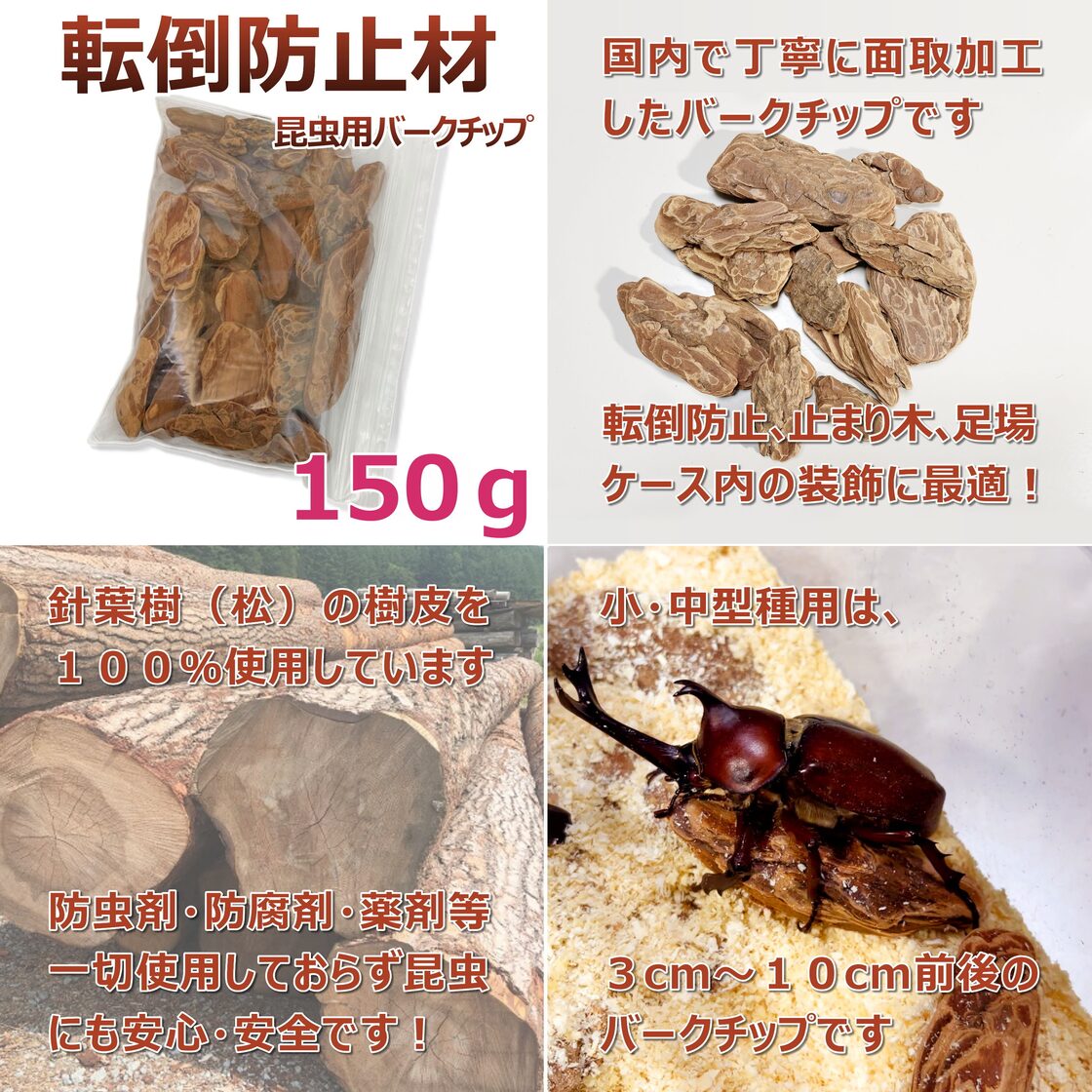送料無料】簡単飼育セット お手軽4点セット 中ケース【すぐに飼育 