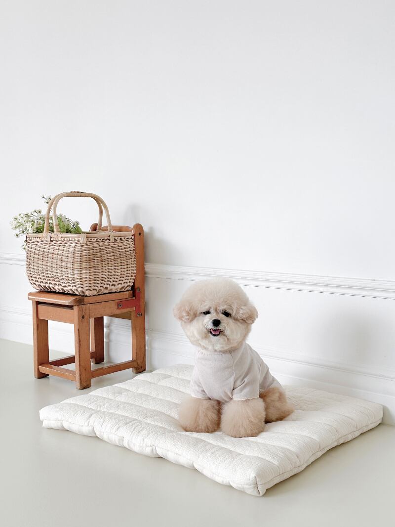 〈即納アイテム〉EYOU アイレットTシャツ(ラベンダー)