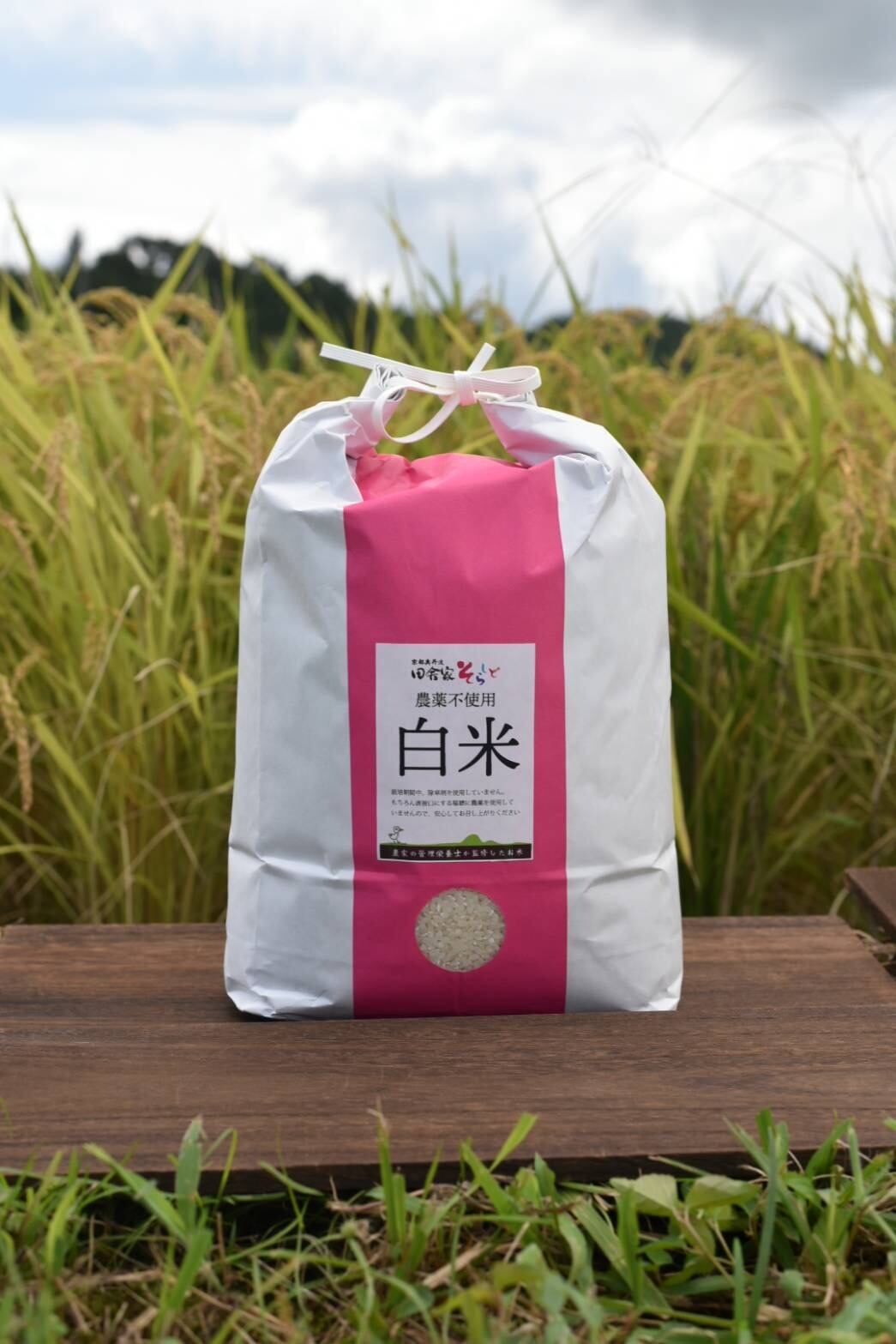 農薬不使用コシヒカリ10キロ⭐️農家直送