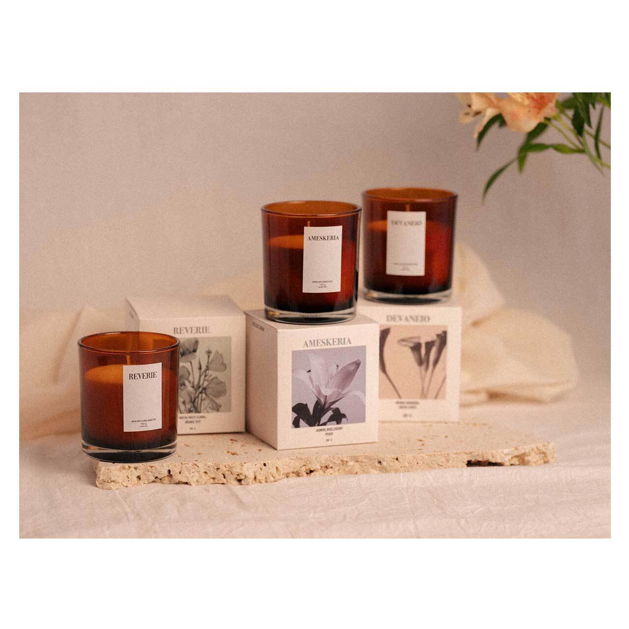 Candle／REVERIE | Seeding